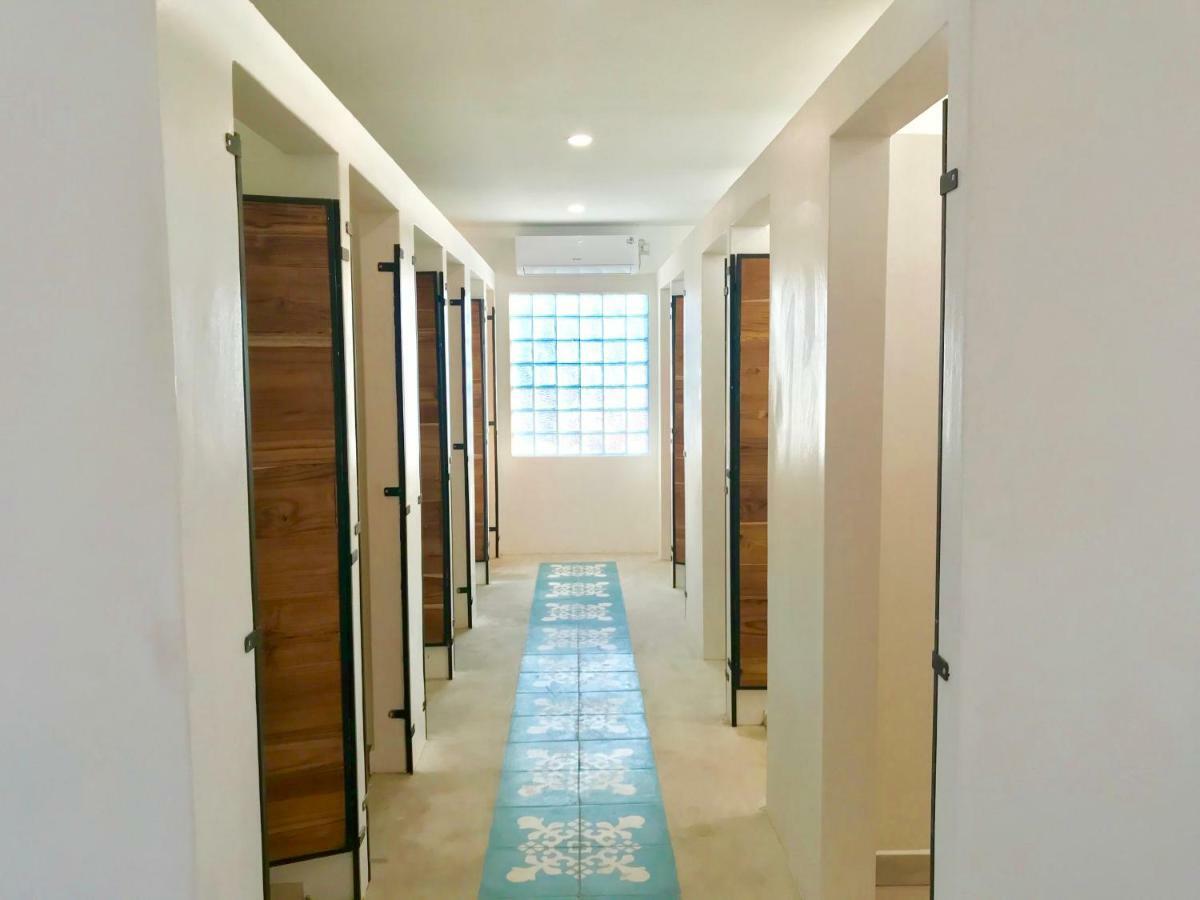 Seaesta Komodo Hostel & Hotel Labuan Bajo Eksteriør bilde